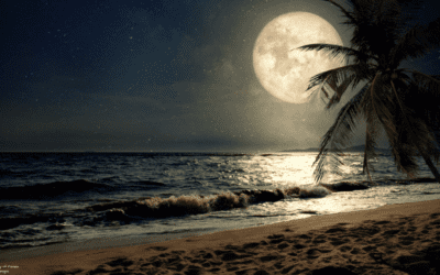 Naples Hidden Gem: Full Moon Chef Dinners At Naples Grande