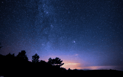 Hidden Gems: Star Gazing At Big Cypress National Preserve