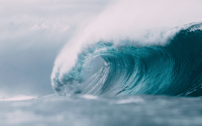 Riding The Confidence Wave: Do You Feel Like The Shit Or Just Shit?